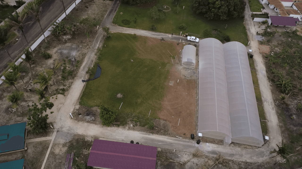 Aboisso — serre de 1 000 m² et serre pépinière